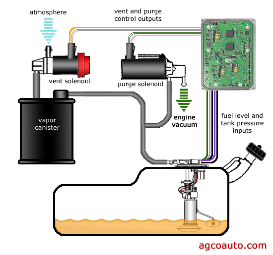 self evaporative system