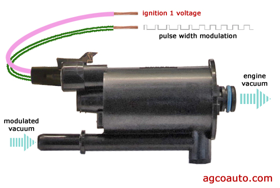 GM pulse modulated purge solenoid