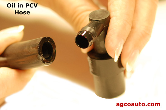 Fresh oil in the PCV hose suggest a problem