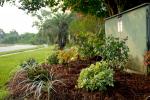 29. Front Landscaping August 2007