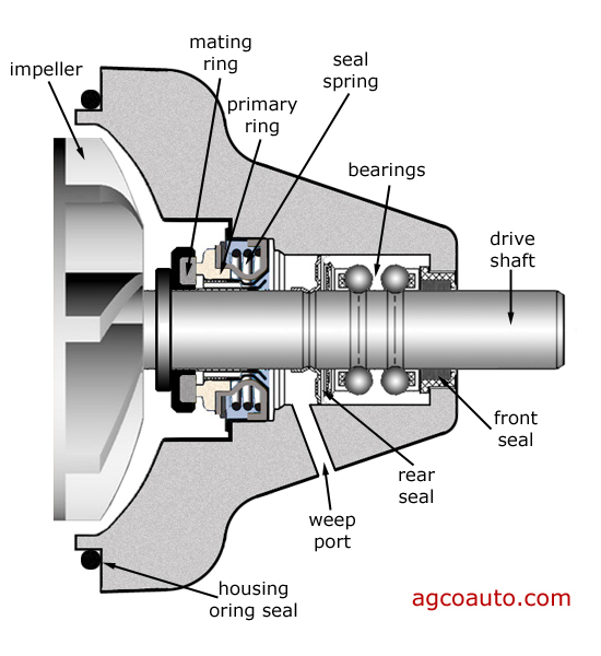 typical water pump components in a cross section view