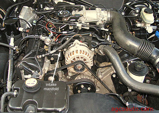 Intake area of the 4.6L Ford engine with the engine cover removed