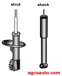 Difference in a typical strut and shock absorber