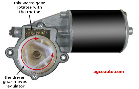 Window motor cutaway showing worm and drive gear