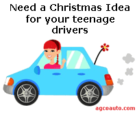 Give a General Inspection as a stocking stuffer